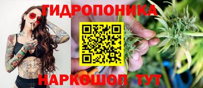 дживик Дубна