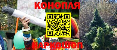 индика Донецк