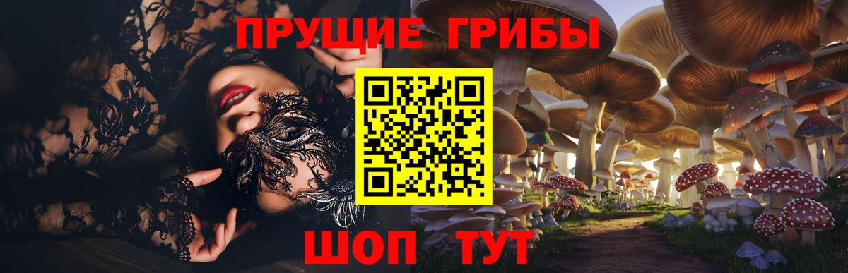 Сергиев Посад  Псилоцибиновые грибы мухоморы  Вход с VPN 